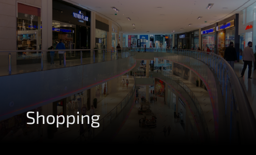 shopping